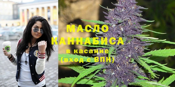 молекула духа Няндома