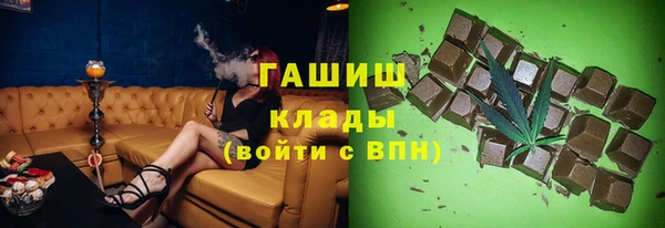 молекула духа Няндома