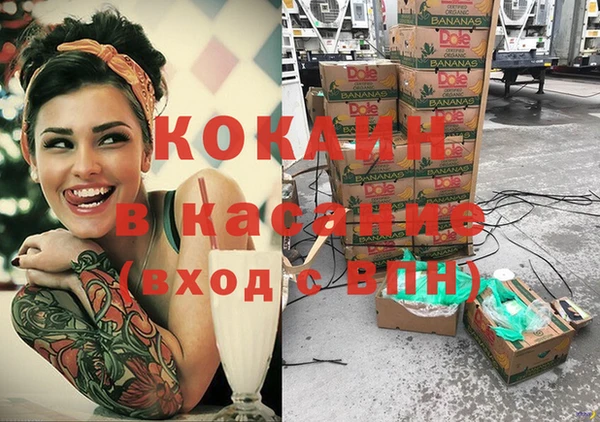 молекула духа Няндома