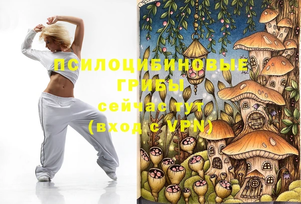 2c-b Нягань