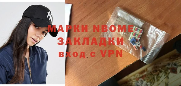 молекула духа Няндома