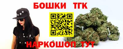 jwh Ставрополь