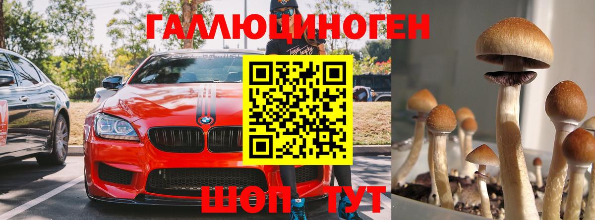 Галлюциногенные грибы MAGIC MUSHROOMS  Вход с VPN  Партизанск 